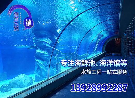 德洋深圳线上分站